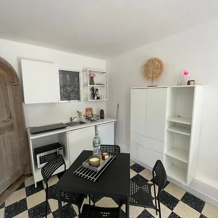 Plein Centre Avec Jardin