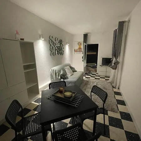 Apartment Plein Centre Avec Jardin