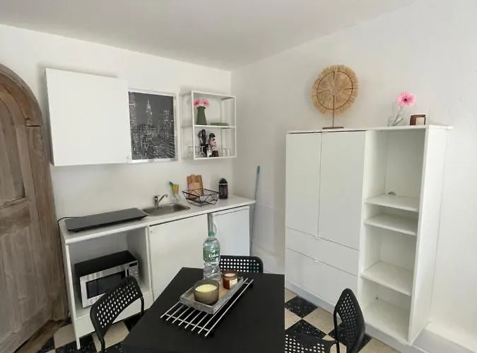 Plein Centre Avec Jardin