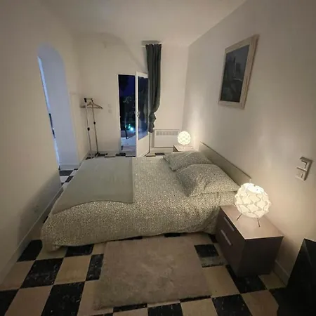 Plein Centre Avec Jardin