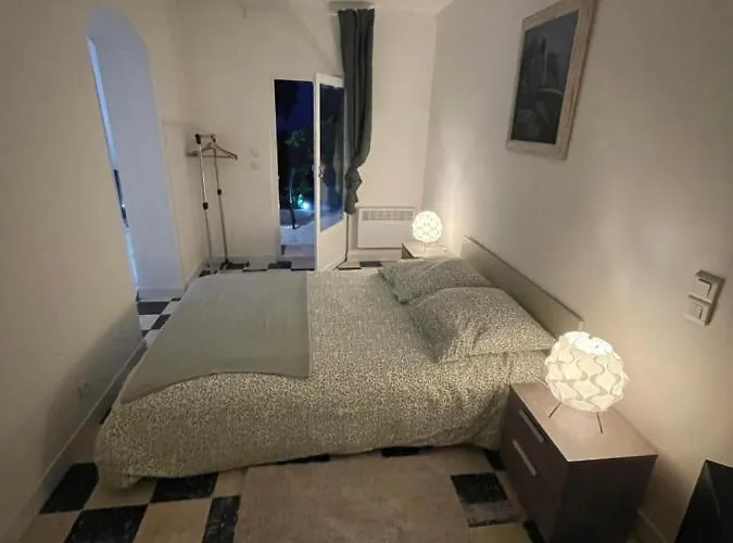 Plein Centre Avec Jardin